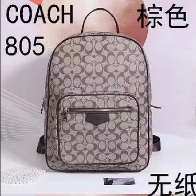 C0ACH Handbags 106